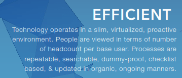 Efficient Infrastructure Support Services